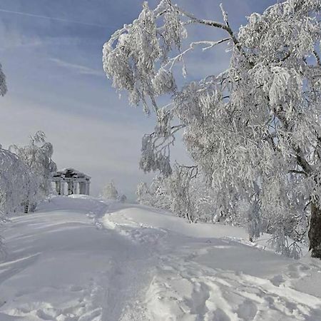 Maison Rurale En Bordure De Foret Schirmeck Esterno foto