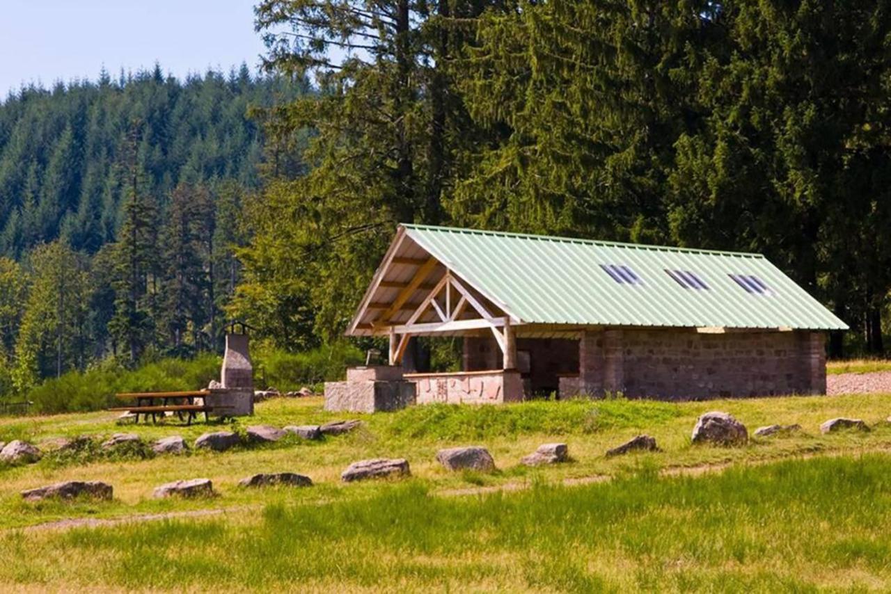 Maison Rurale En Bordure De Foret Schirmeck Esterno foto