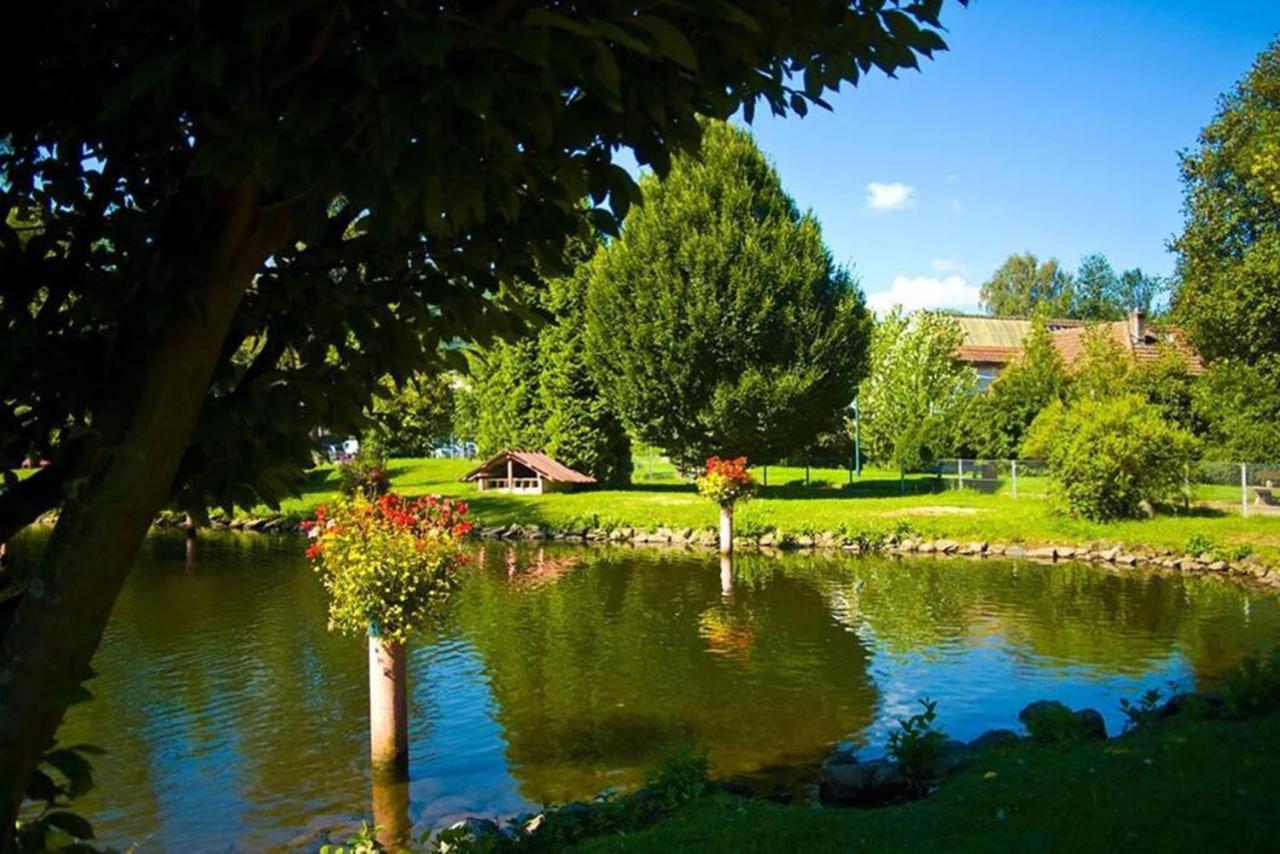 Maison Rurale En Bordure De Foret Schirmeck Esterno foto